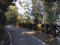 -广州市流溪河国家森林公园