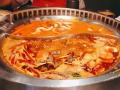 -辣伍鲜毛肚老火锅(元一店)