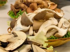 -菌海森林·非遗野生菌火锅(西山区滇池路摩根道店)