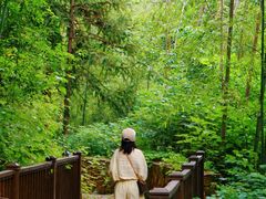 -素山寺森林公园