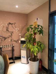 -唯伊美塑身美养连锁