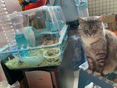 -龙猫仔乐园(惠福东路店)