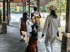 -麒麟中餐厅·经典粤菜·地道菜式老字号(广州长隆酒店)