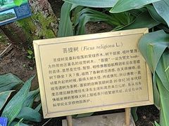 -国家植物园南园