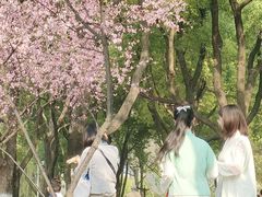 -堤角公园