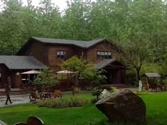 -合肥滨湖国家森林公园