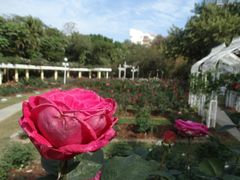 -人民公园(罗湖区)