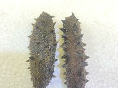 -宫品海参专卖店(静安大宁店)