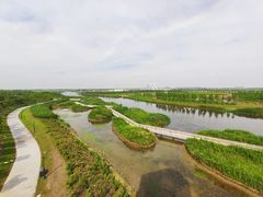 -春花秋色城市公园