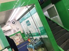 -瑞派动物医院·猫专科·至诚(江南中分院)