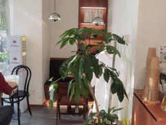 -LilBee Coffee