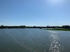 -大兴滨河森林公园