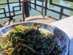 水蕨菜-瑶河山里菜