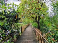 -贵阳市花溪国家城市湿地公园
