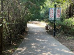 -府君山公园