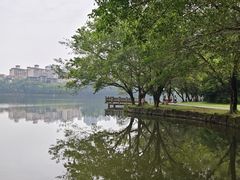 -三水森林公园