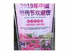 -扬州芍药园(仪征市)