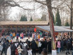 -大槐树寻根祭祖园