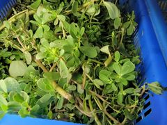 -大老王餐馆