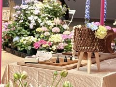 -上海长风大悦城