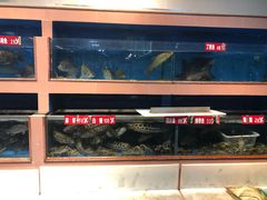 -皮记海鲜1995(寮步店)