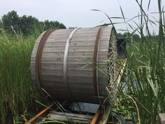 iphone_upload_pic-溱湖国家湿地公园