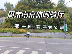 -老山国家森林公园