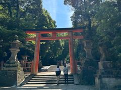 -奈良公园