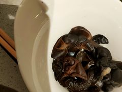 木耳-海底捞火锅(河东万达广场店)