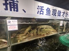 水产区-胖姐渔村(中源大道店)