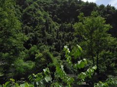 -车溪民俗旅游区