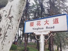 -武汉大学-樱园