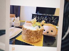-同里湖度假村(二期店)