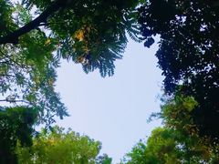 -杭州植物园