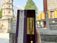 -西安大兴善寺
