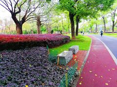 -怡海公园(桂城街道)