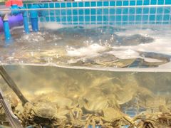-锅儿欢海鲜火锅烤肉自助餐(东港凯虹店)
