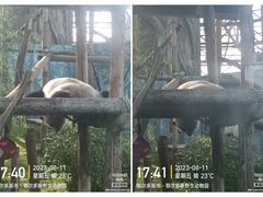 -鄂尔多斯野生动物园