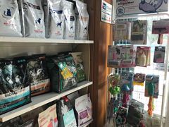 -小叮当动物医院·骨科·眼科