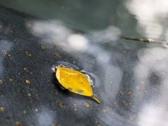 -大埔公路-马料水段香港中文大学(公交站)