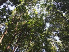 -艾溪湖湿地公园