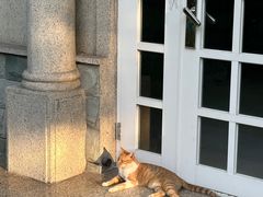 -上海花园饭店