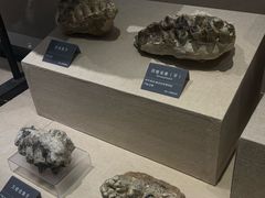 -安徽省地质博物馆