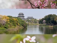 -金成潮菜博物馆(海珠湿地店)