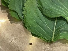 -老板娘的烤肉店(港湾广场店)
