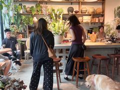 -自由生长植物工作室(深港花卉中心店)