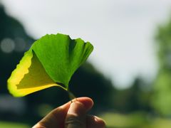 -上海滨江森林公园