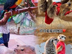 -正佳雨林生态植物园