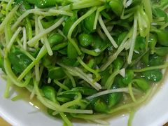 -全乐鱼馆·淳牌有机鱼直营店