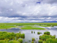 -花湖生态旅游区